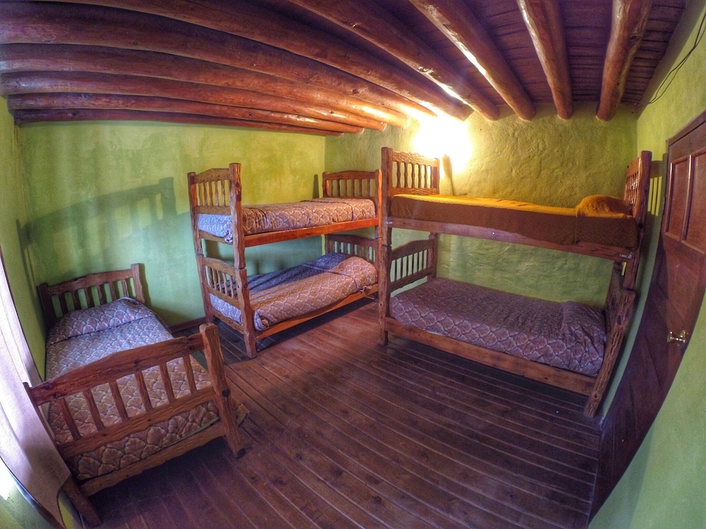 Shared Dormitory photo 1