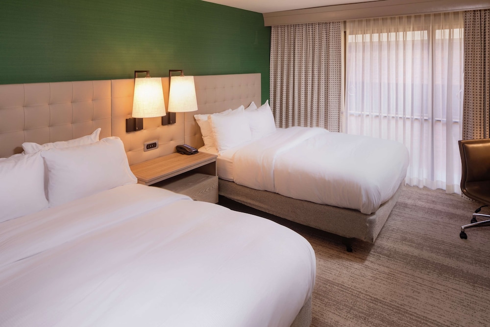 Executive Room, 2 Queen Beds photo 2