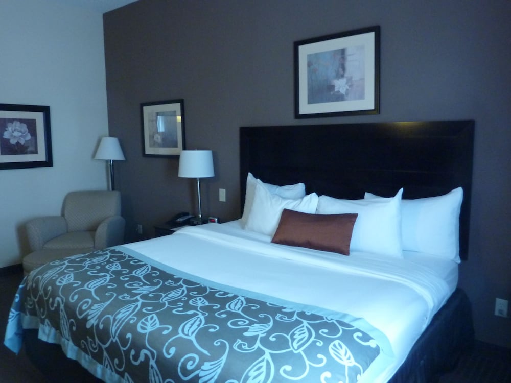 Deluxe Studio Suite, 1 King Bed with Sofa bed, Non Smoking - Photo 2