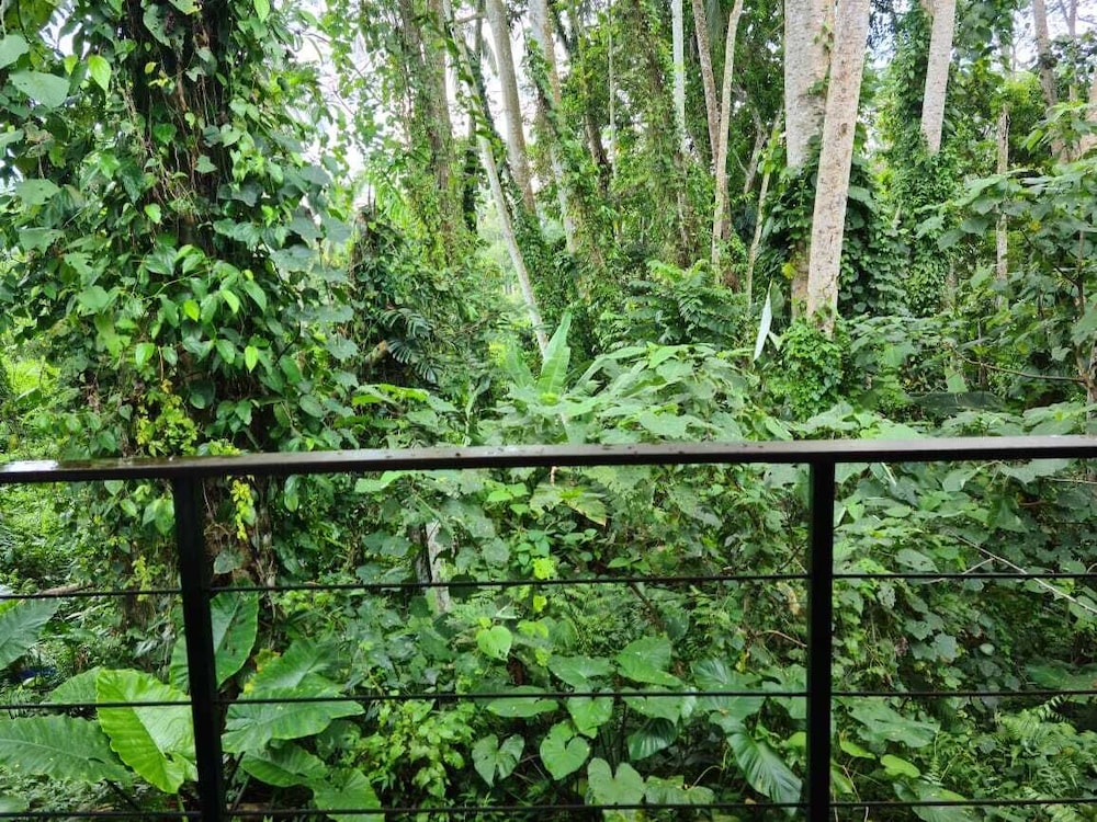 The Nature Suite - Photo 6