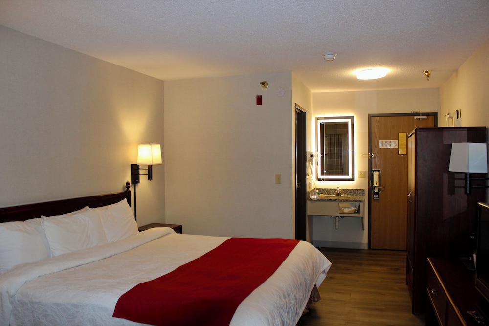 Room, 1 King Bed, Non Smoking photo 3