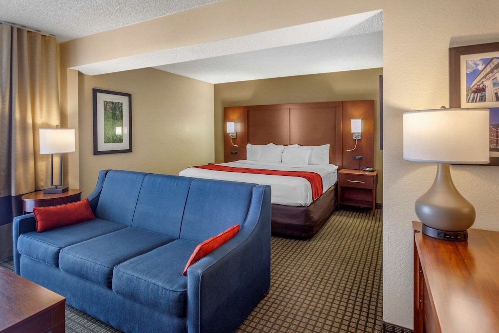 Suite, 1 King Bed with Sofa bed, Non Smoking - Photo 1