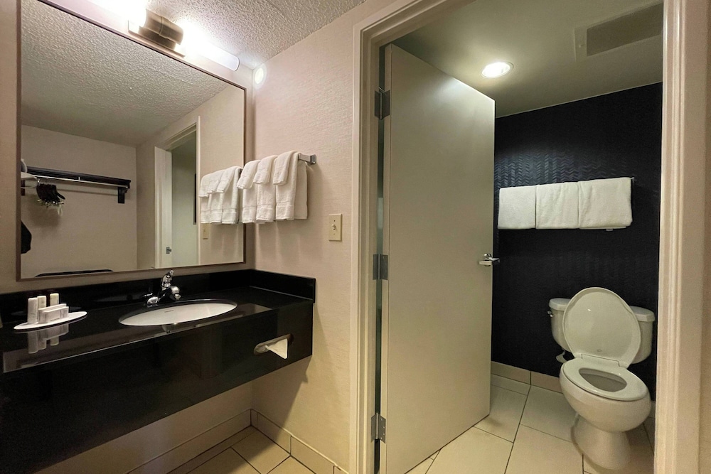 Standard Room, 1 King Bed (Mobility/Hearing Access, Transf Shwr) - Photo 2
