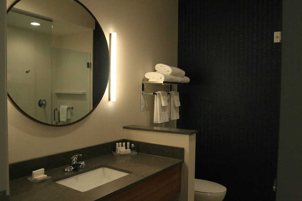 Executive Suite, 1 King Bed with Sofa bed (Hearing Accessible)
