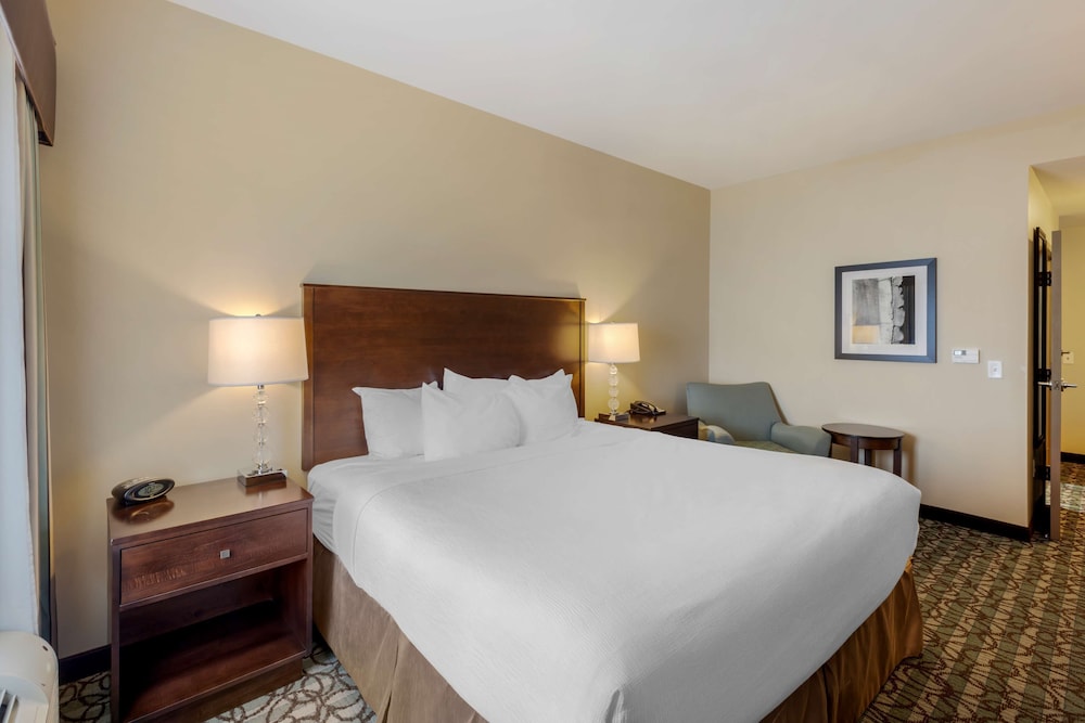 Standard Room, 1 King Bed, Non Smoking, Refrigerator & Microwave (Pet Friendly) photo 2
