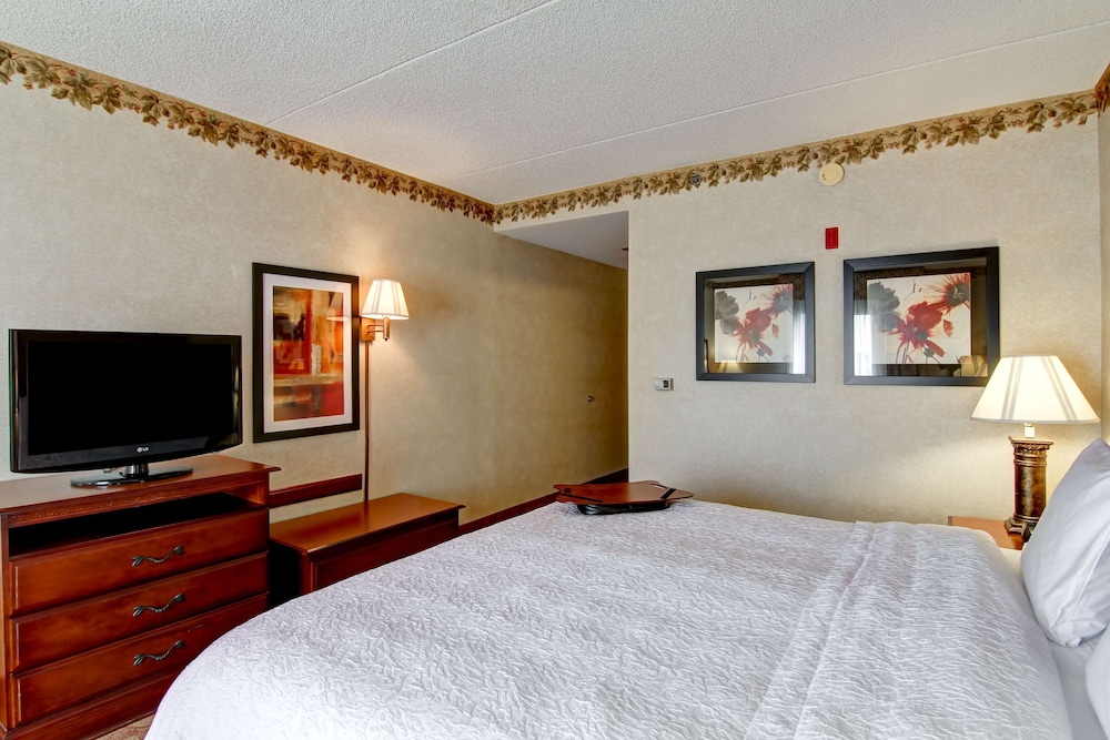 Room, 1 King Bed, Accessible, Non Smoking - Photo 1