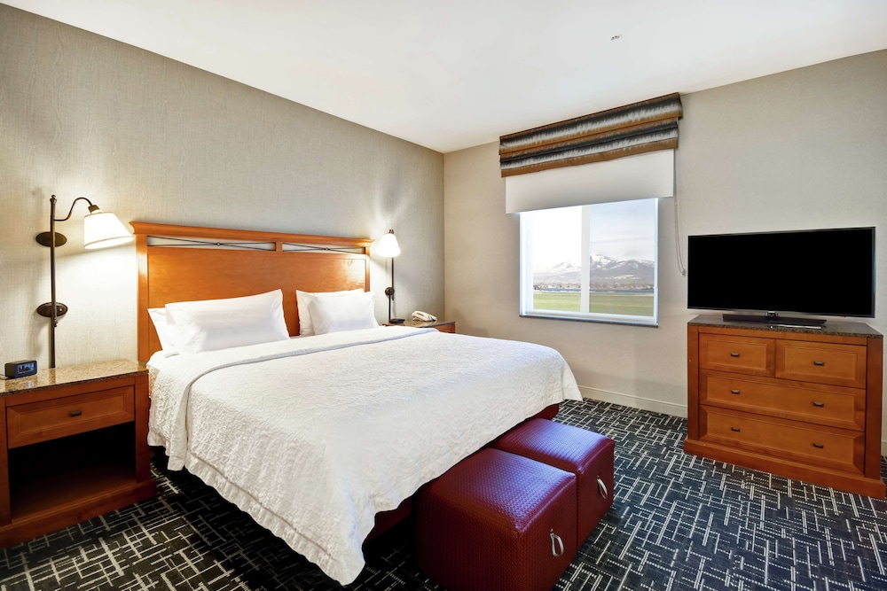 Suite, 1 King Bed, Accessible, Non Smoking photo 1
