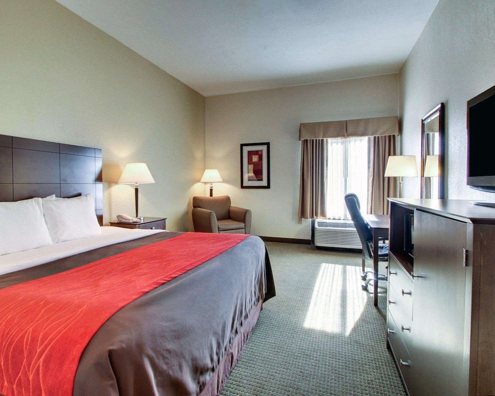Suite, 1 King Bed with Sofa bed, Non Smoking - Photo 6