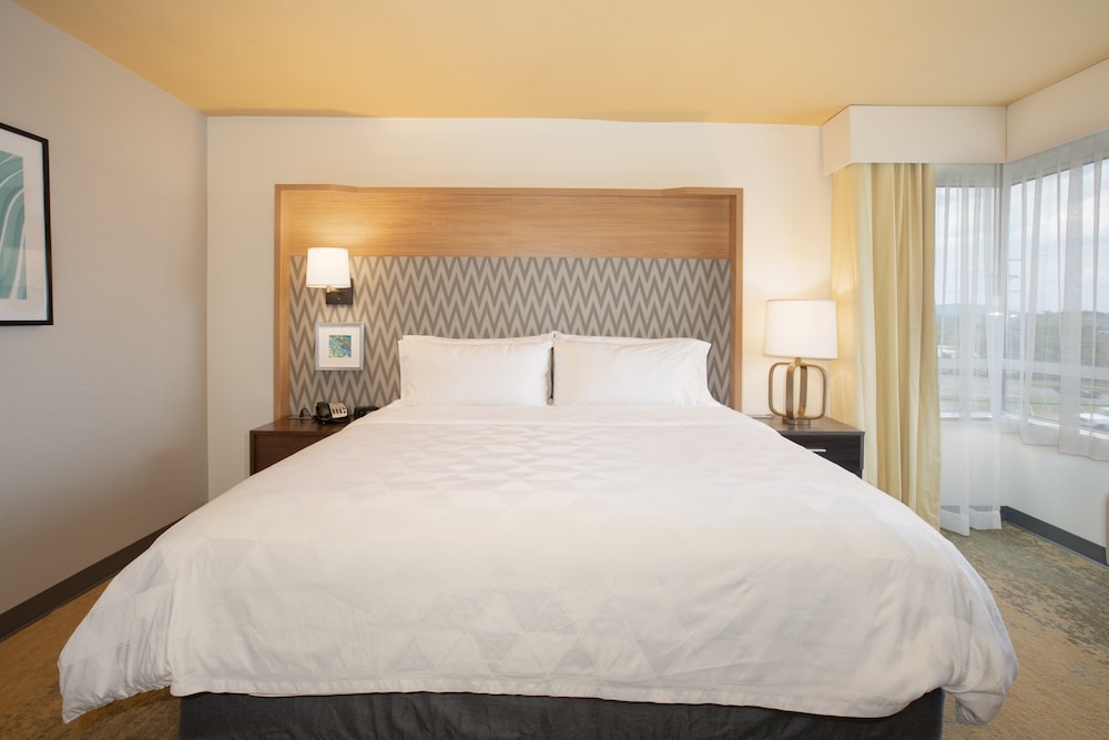 Standard Room, 1 King Bed - Photo 4