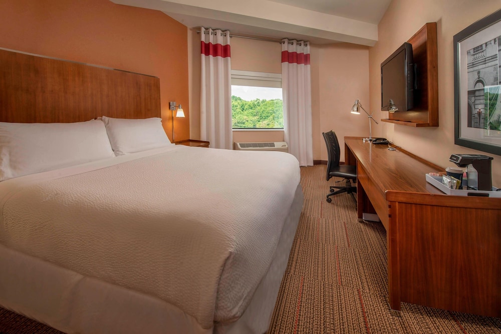 Classic Room, 1 King Bed with Sofa bed, Roll-in Shower (Mobility Accessible, Roll-In Shower) - Photo 3