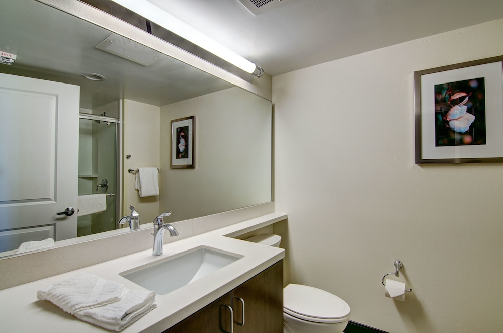 Suite, 1 Bedroom, Accessible (Communication Accessible) - Photo 8