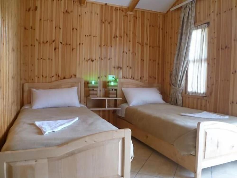 Standard Twin Room photo 2
