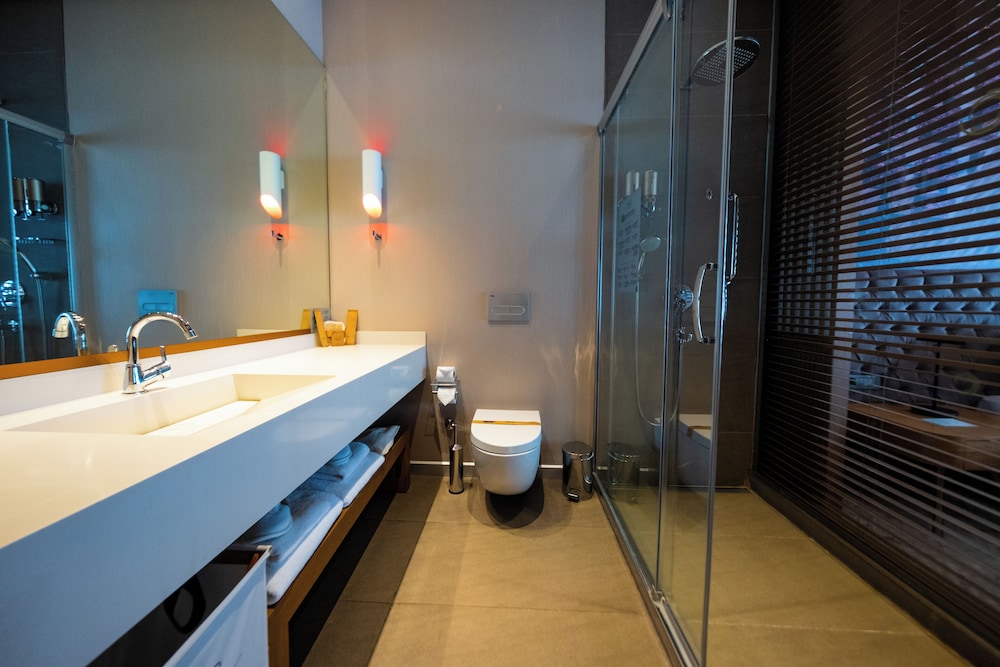 Deluxe Room, City View photo 3