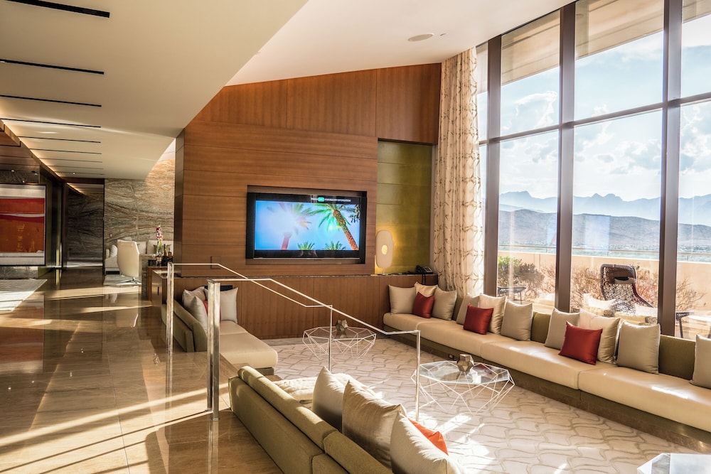 Viva Suite