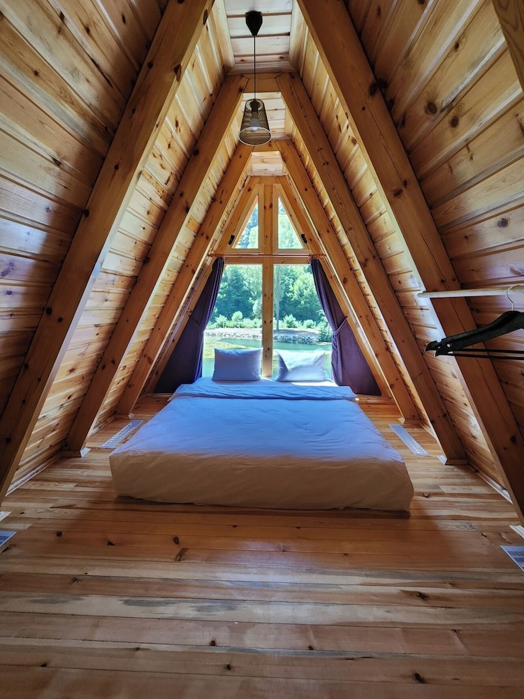 Family Tree House photo 1