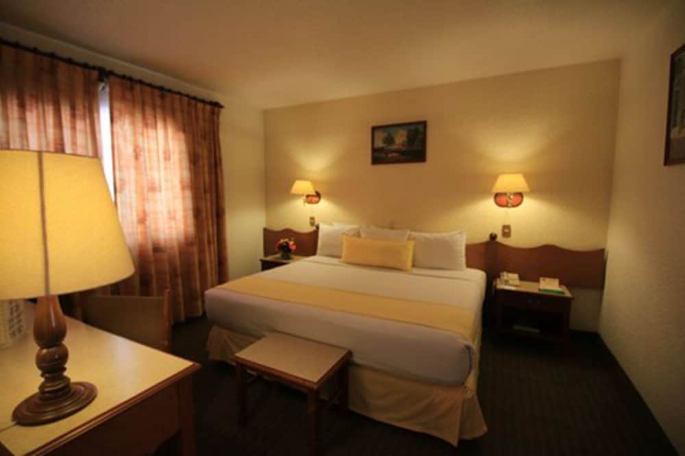 Suite, 1 King Bed photo 1