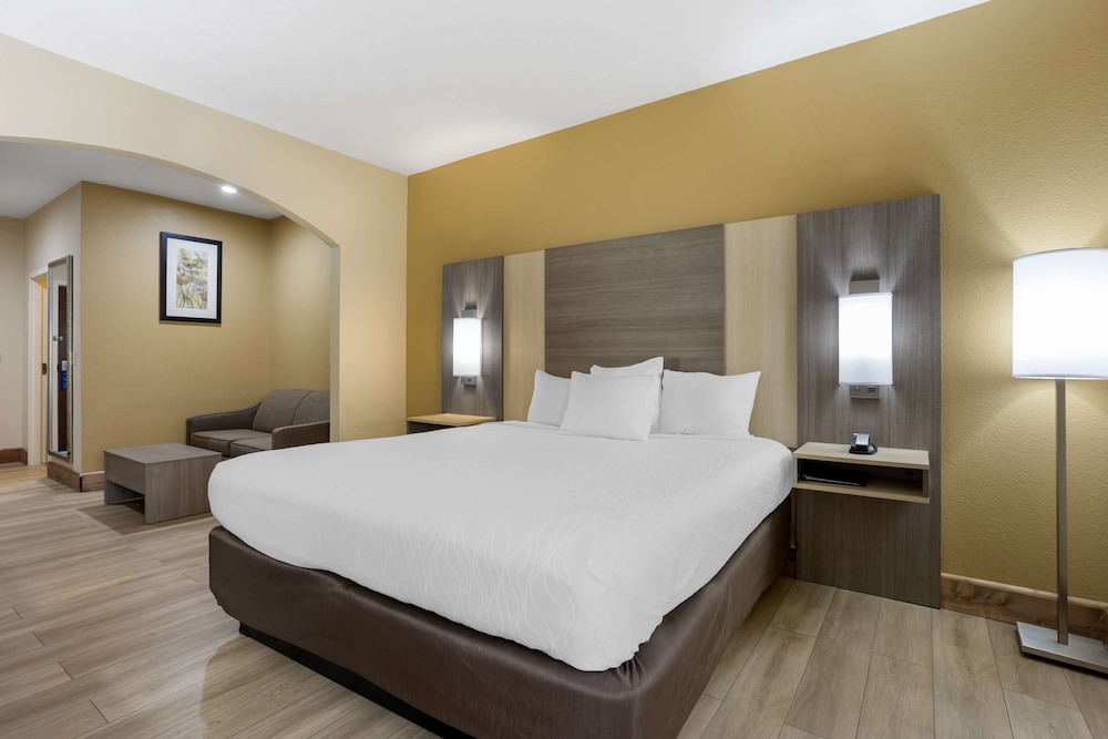 Suite, 1 King Bed, Non Smoking, Refrigerator & Microwave photo 3