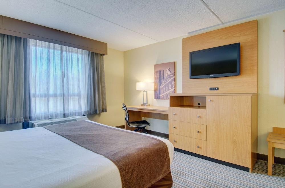 Deluxe Room, 1 King Bed, Non Smoking, Refrigerator & Microwave - Photo 4