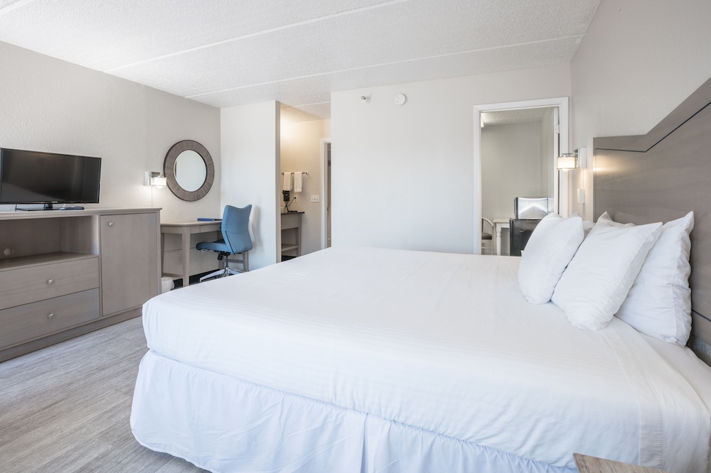 Standard Suite, 1 King Bed photo 1