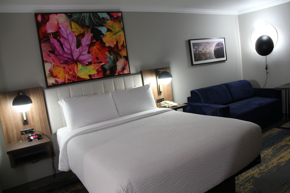 Deluxe Room, 1 Queen Bed, Non Smoking (Efficiency) - Photo 5