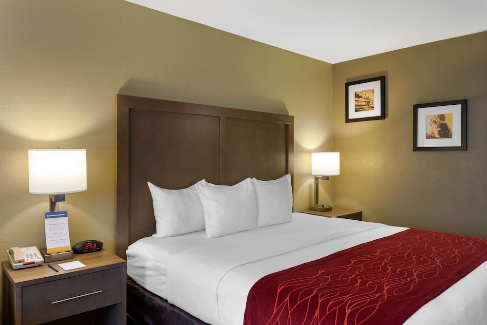 Standard Room, 1 King Bed with Sofa bed, Non Smoking - Photo 3
