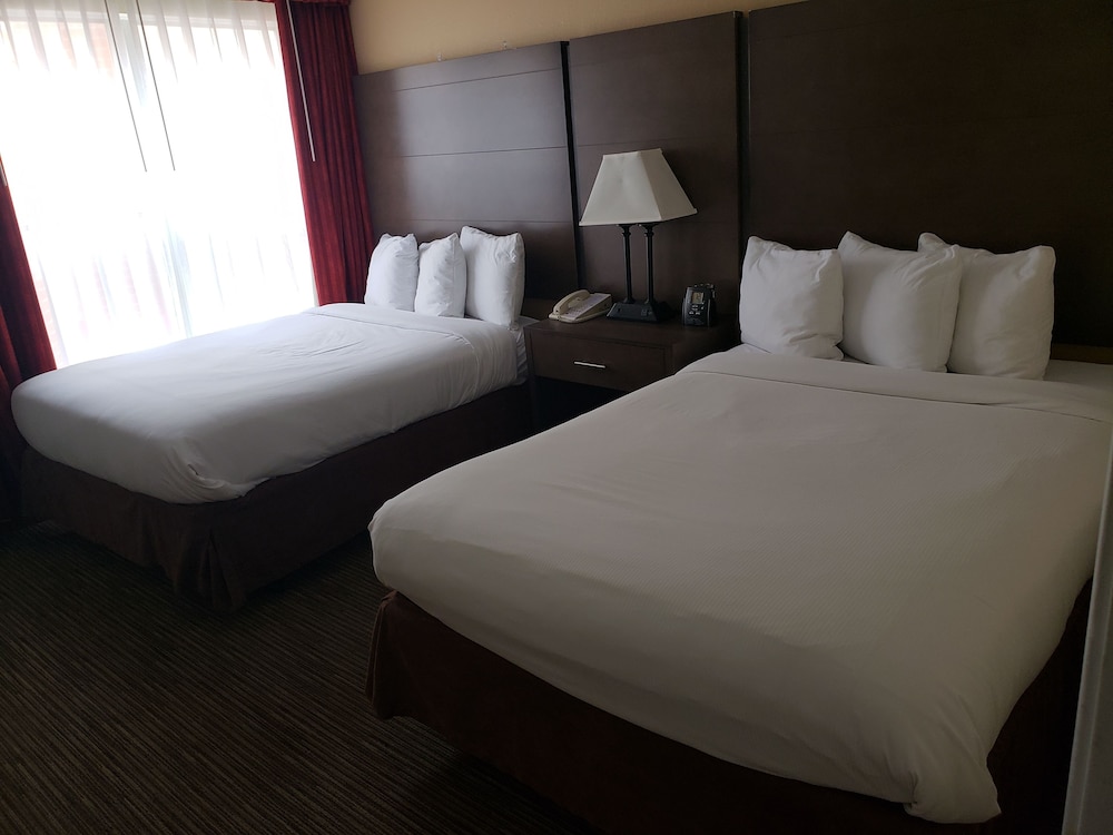 Standard Double Room - Photo 1