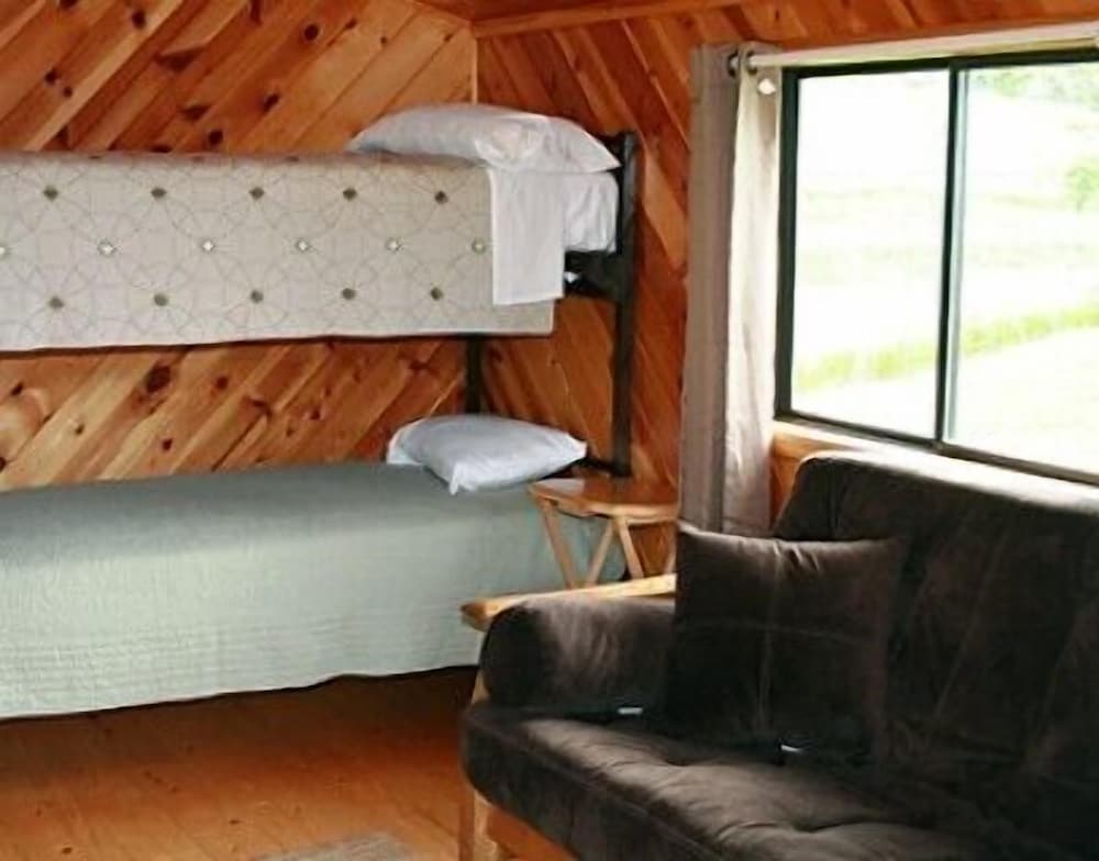 Economy Cabin photo 1