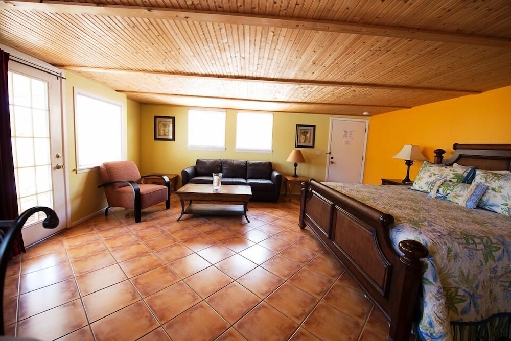 Studio Suite, 1 King Bed with Sofa bed, Kitchen photo 3