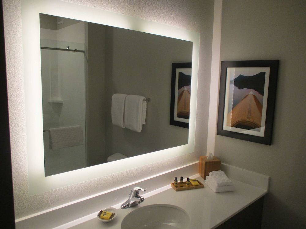 Suite, 1 King Bed, Non Smoking, Refrigerator & Microwave (Walk-in Shower;with Sofabed) - Photo 5