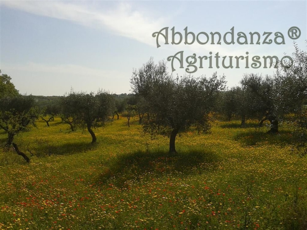 Room in Farmhouse - Agriturismo Abbondanza®, Billede 15