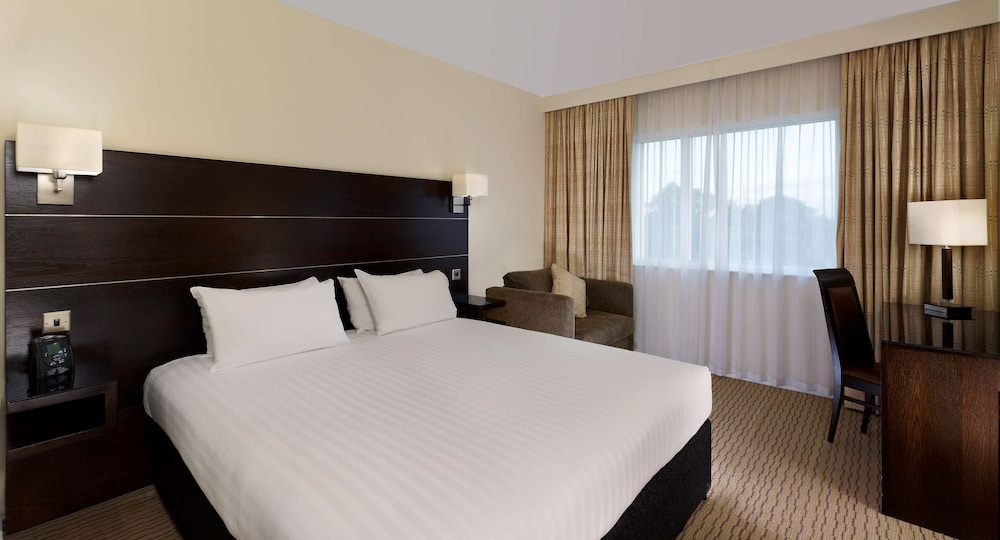 King Room , 1 King bed