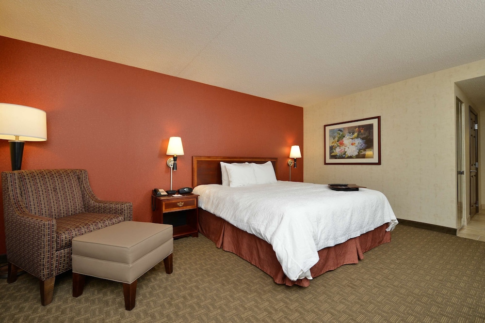 Room, 1 King Bed, Accessible, Bathtub - Photo 1