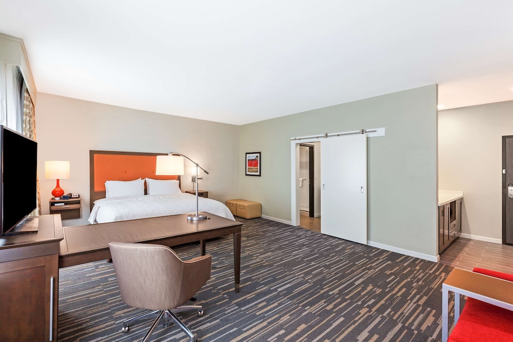 Studio, 1 King Bed, Non Smoking, Refrigerator (Wet Bar) photo 2