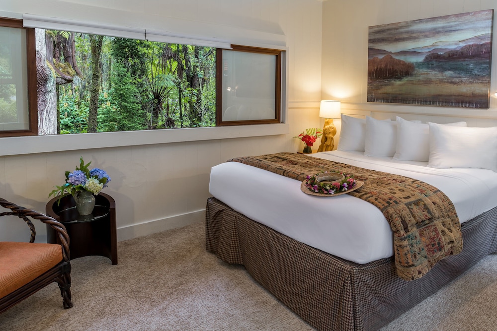 Rainforest Cottage (Rainbow Falls) photo 2