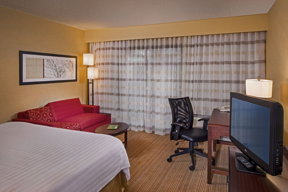 Suite, 1 Bedroom photo 3