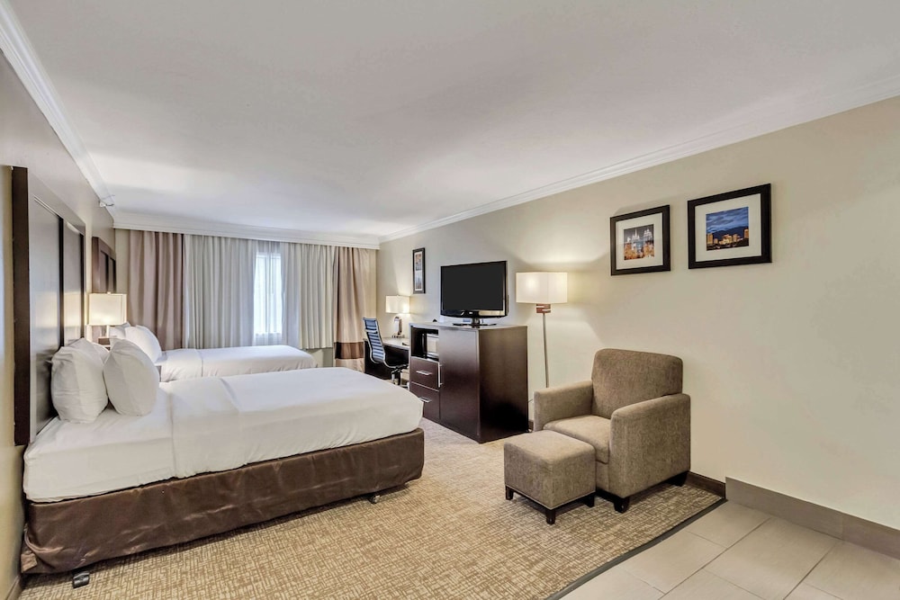 Studio Suite, Multiple Beds, Non Smoking