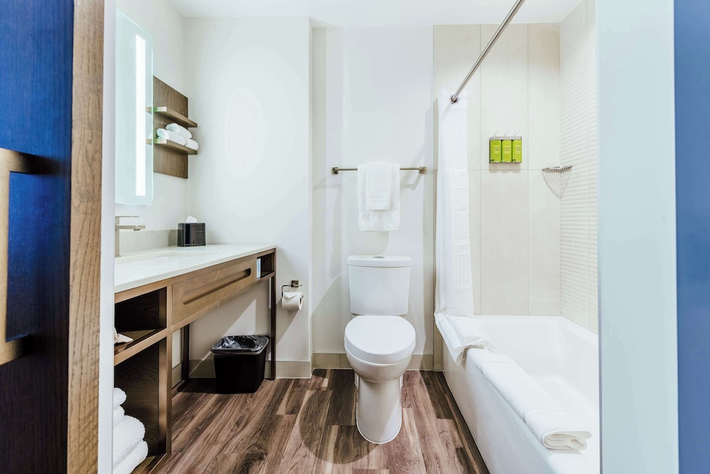 Room, 1 King Bed, Accessible, Bathtub