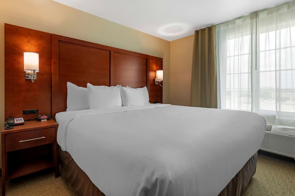 Standard Suite, 1 King Bed with Sofa bed, Non Smoking - Photo 1