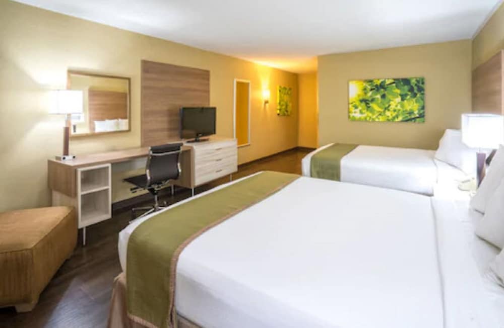 Room, Multiple Beds, Non Smoking photo 3