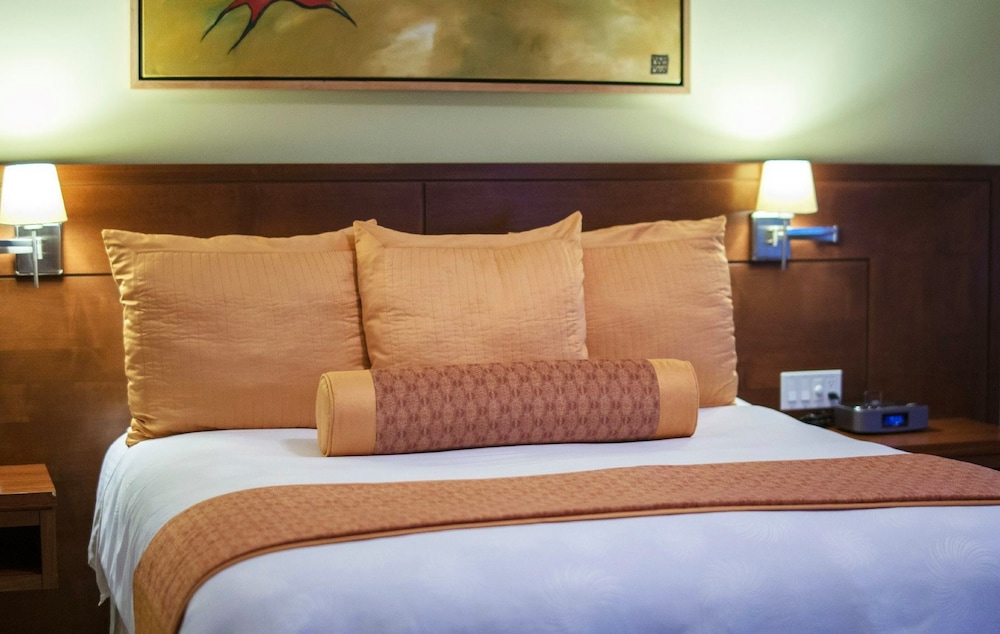 Basic Single Room, 1 King Bed photo 3