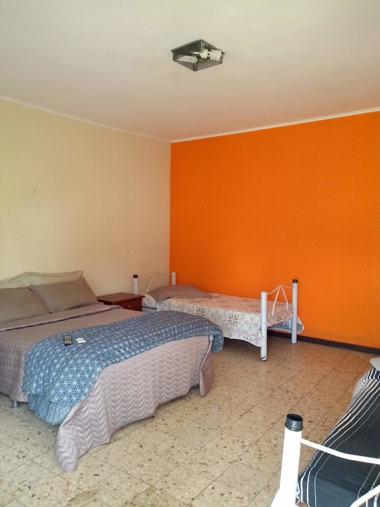 Triple Room, Multiple Beds photo 1