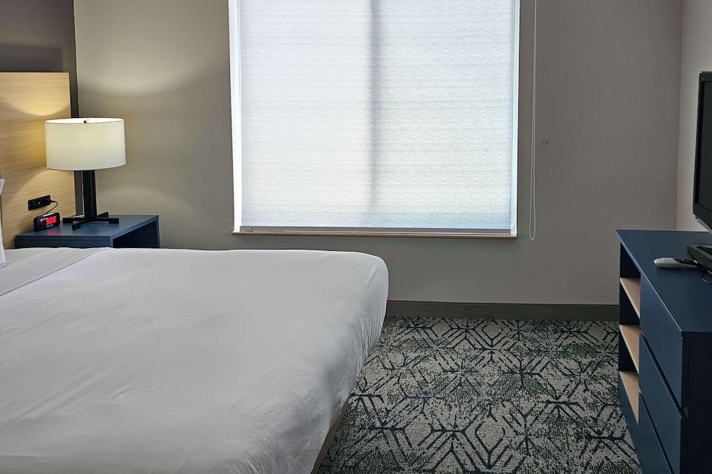 Suite, 1 King Bed, Non Smoking (Extended Stay) - Photo 5
