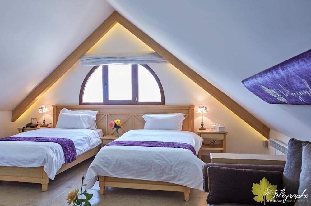 Deluxe Double or Twin Room photo 1