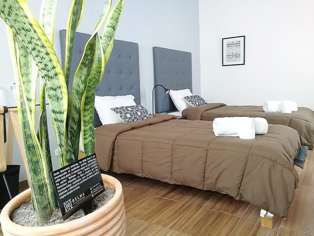 Superior Double or Twin Room, 2 Twin Beds, Non Smoking, Private Bathroom photo 3