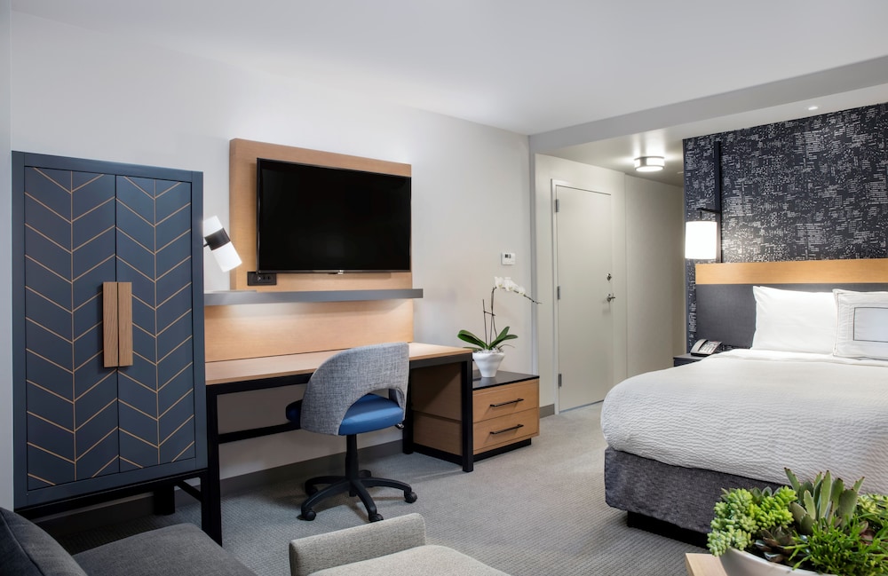 Room, 1 King Bed with Sofa bed (Mobility Accessible, Roll-in Shower)