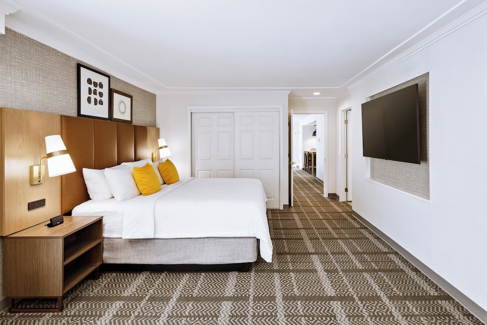 One bedroom executive suite photo 3