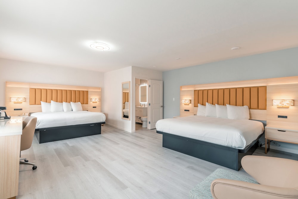 Superior Room, 1 Bedroom - Photo 1