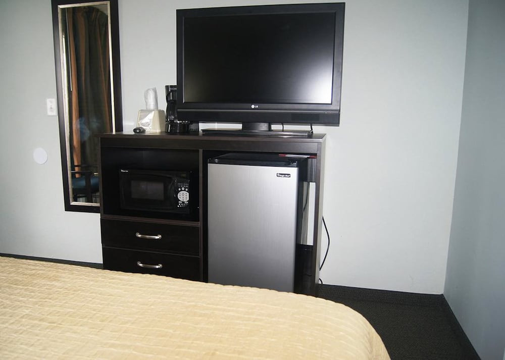 Standard Double Room, 1 King Bed, Non Smoking, Refrigerator & Microwave photo 3
