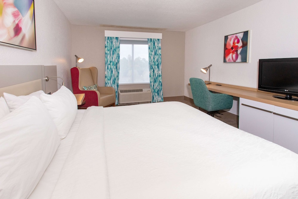 Room, 1 King Bed - Photo 4