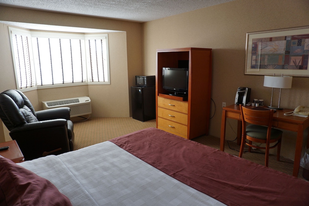 Standard Room, 1 King Bed, Non Smoking photo 3